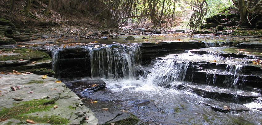 General Clinton Park Bainbridge Ny 0