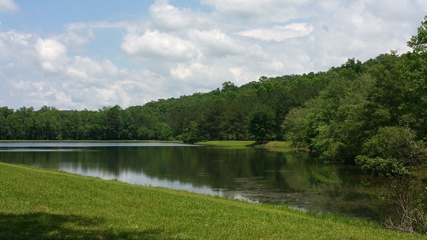 Cherokee Campground Helena Al 0