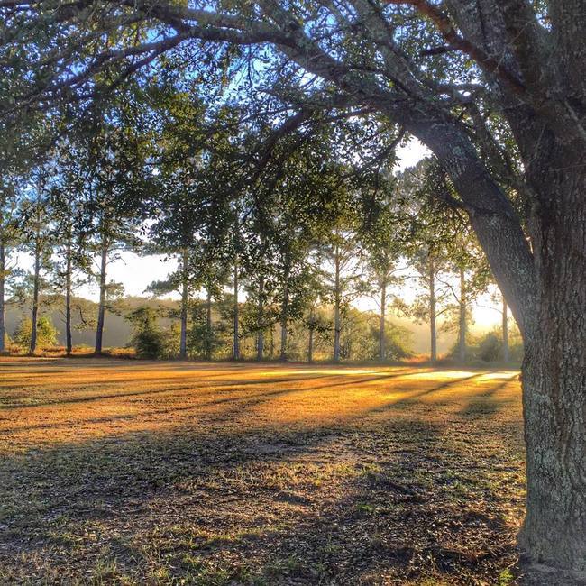 Escapees Rainbow Plantation Summerdale Al 0