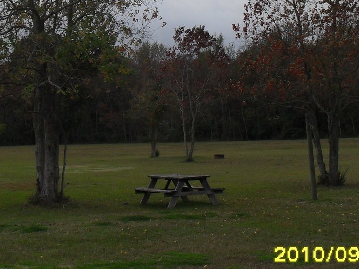 Frog City Rv Park Duson La 1