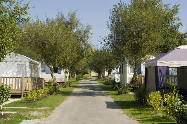 Punkin Park Campground Hammond La 0