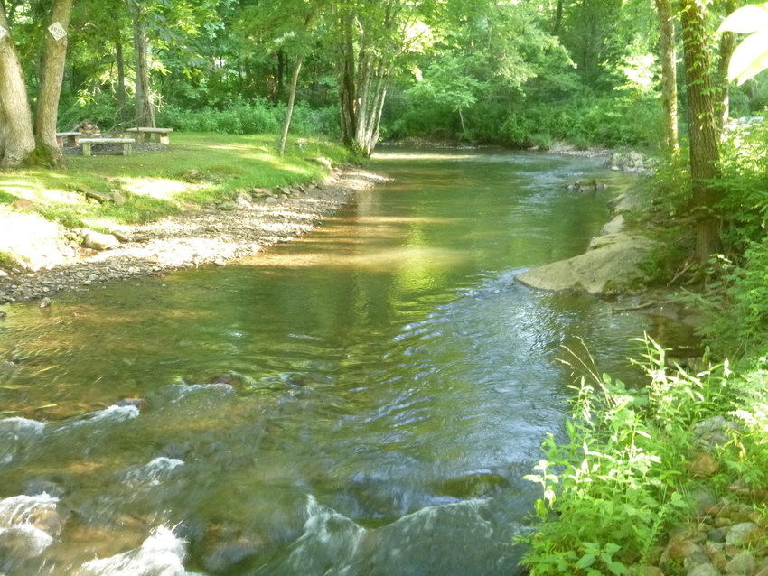 Cartoogechaye Creek Campground Franklin Nc 1