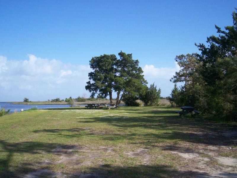 Cedar Creek Campground   Marina Sea Level Nc 2