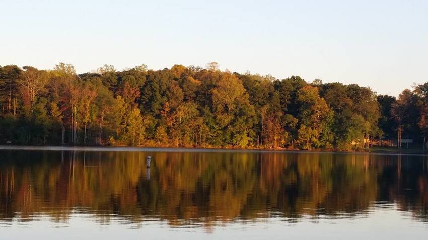 High Rock Lake Marina   Campground Lexington Nc 0