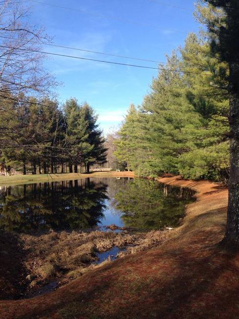 Honey Bear Campground Boone Nc 0