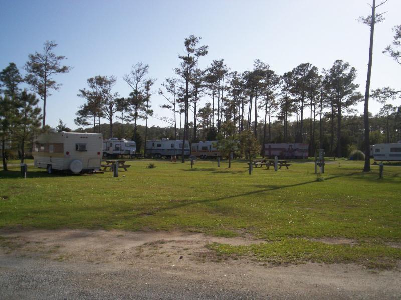 Cedar Creek Campground   Marina Sea Level Nc 4