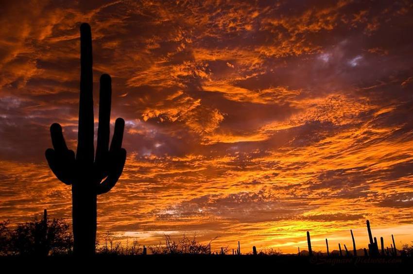 Shadow Ridge Rv Resort Ajo Az 0