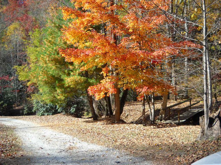 Nelson S Nantahala Hideaway Topton Nc 0