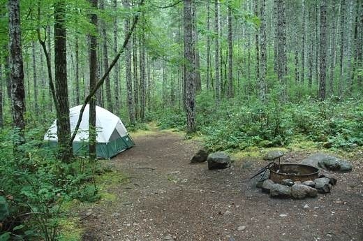 Big Creek Campground Hoodsport Wa 1