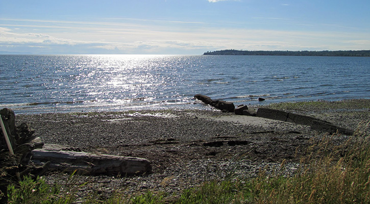 Birch Bay Blaine Wa 0