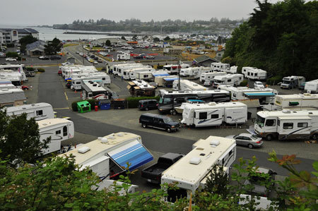 Driftwood Rv Park Long Beach Wa 0
