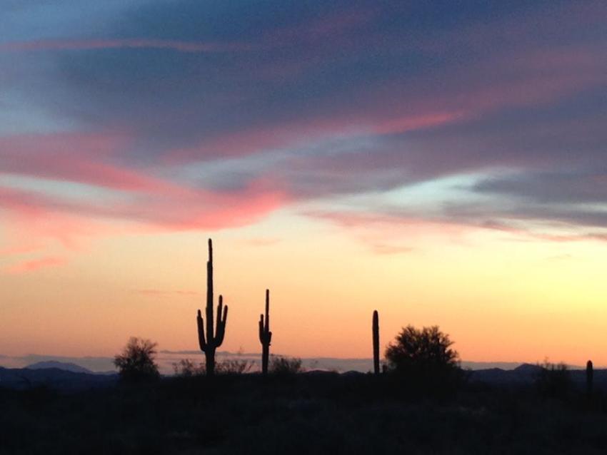 Mcdowell Mountain Regional Park  Maricopa County Park  Fountain Hills Az 0