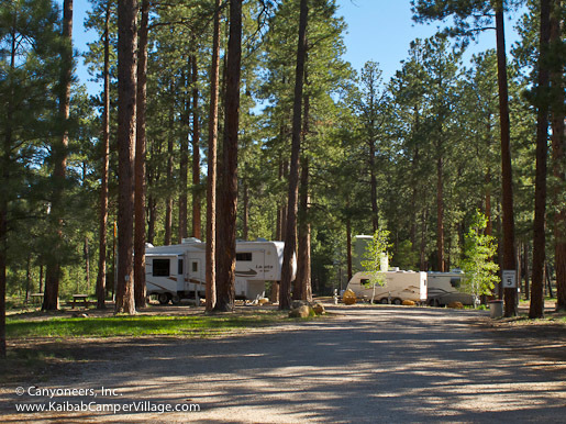 Kaibab Campervillage Flagstaff Az 0