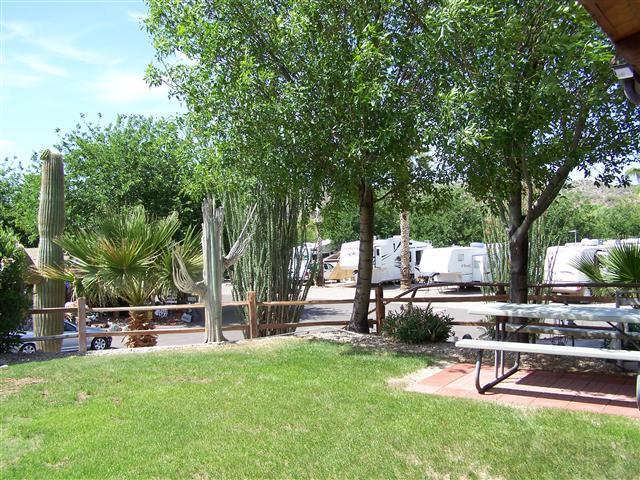 Horspitality Rv Resort Wickenburg Az 1