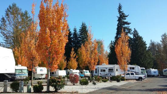 Maple Grove Rv Resort Everett Wa 0