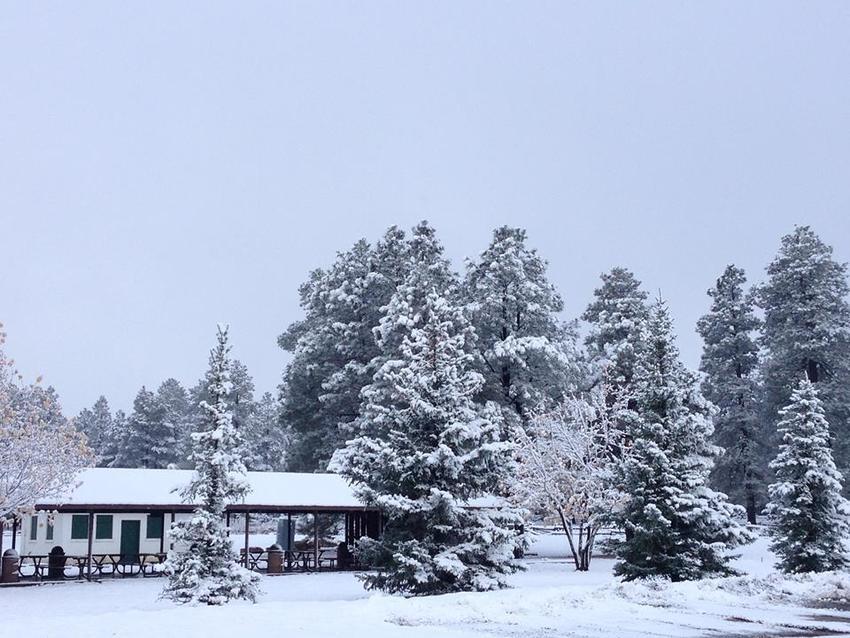 Fort Tuthill County Park Flagstaff Az 0