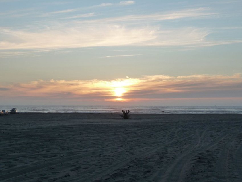 Ocean Park Area Chamber Of Commerce Ocean Park Wa 0