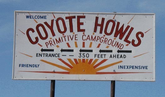 Coyote Howls Why Az 1
