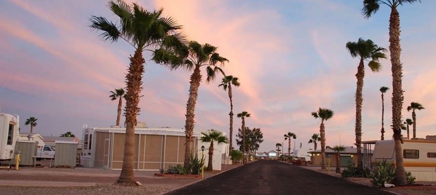 Caravan Oasis Rv Resort Yuma Az 1