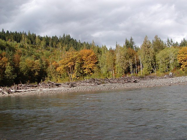 Sauk Park Rockport Wa 0
