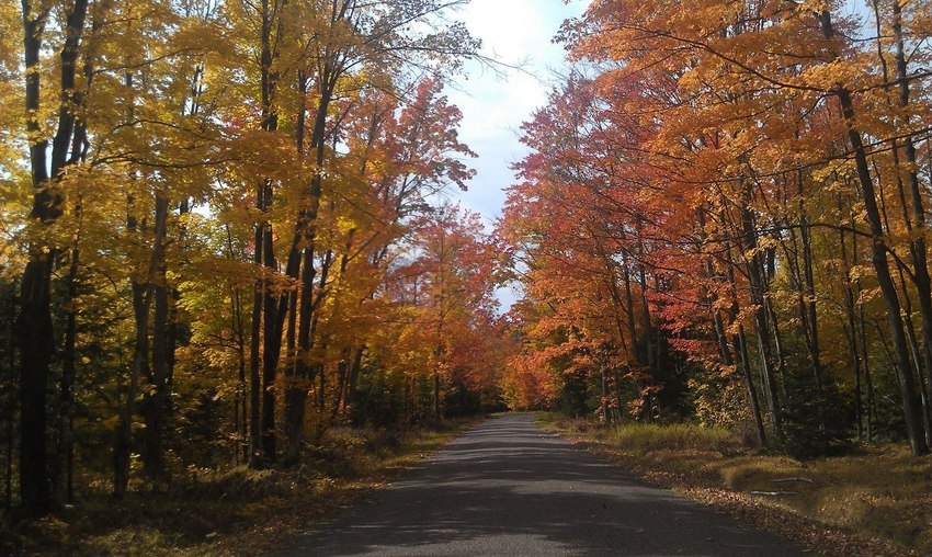 Moose Jaw Resort And Campground Park Falls Wi 3