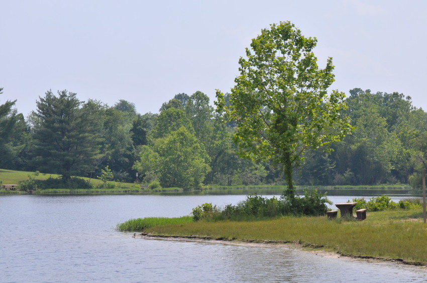 Mountain View Campground At Silver Lake Haymarket Va 0