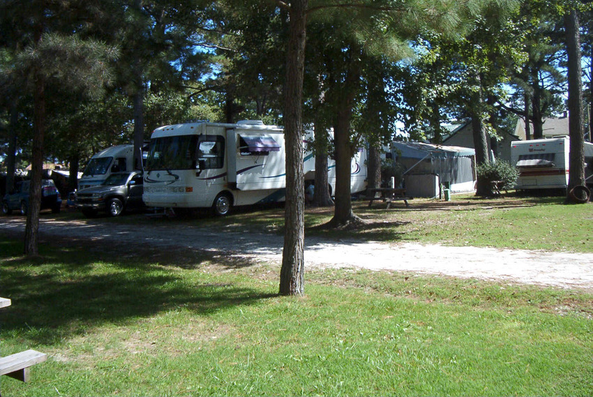 Pine Grove Campground And Waterfowl Park Chincoteague Va 1