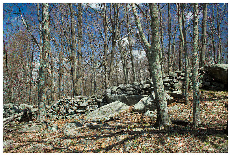 Tye River Gap Campground Vesuvius Va 0