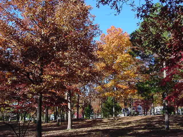 Camelot Rv Campground Poplar Bluff Mo 4