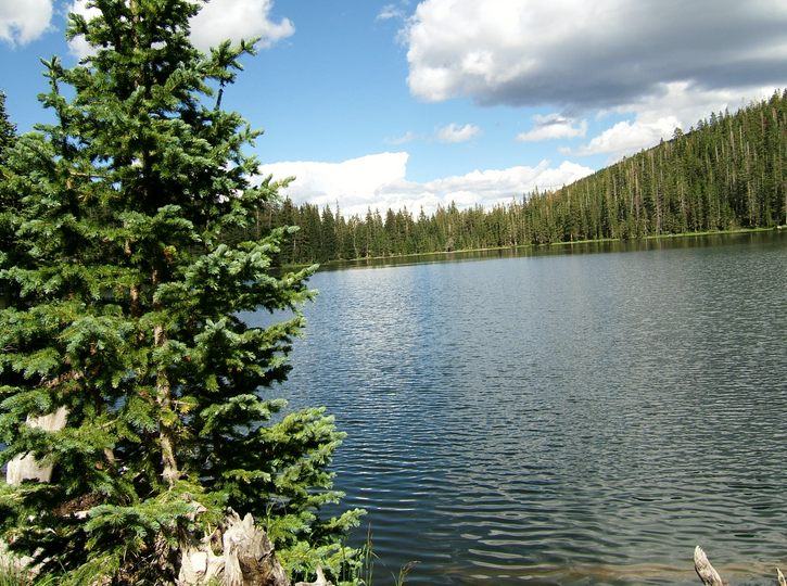 Rio Costilla Park   Campground Costilla Nm 2