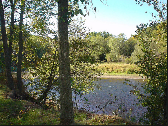 Bluff Valley Campground Zumbro Falls Mn 4