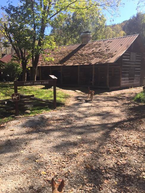 Bandy Creek Campground Oneida Tn 0