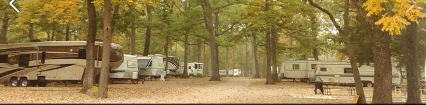 Lake Sara Campground Effingham Il 0