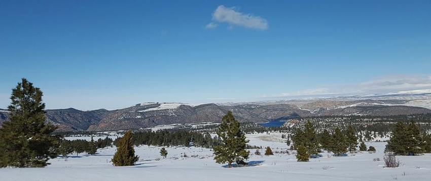 Pine Forest Park  Flaming Gorge  Dutch John Ut 3