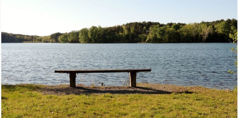 Oak Point Campground  Lake Glendale Recreation Area  Shawnee Natl  For Glendale Il 3