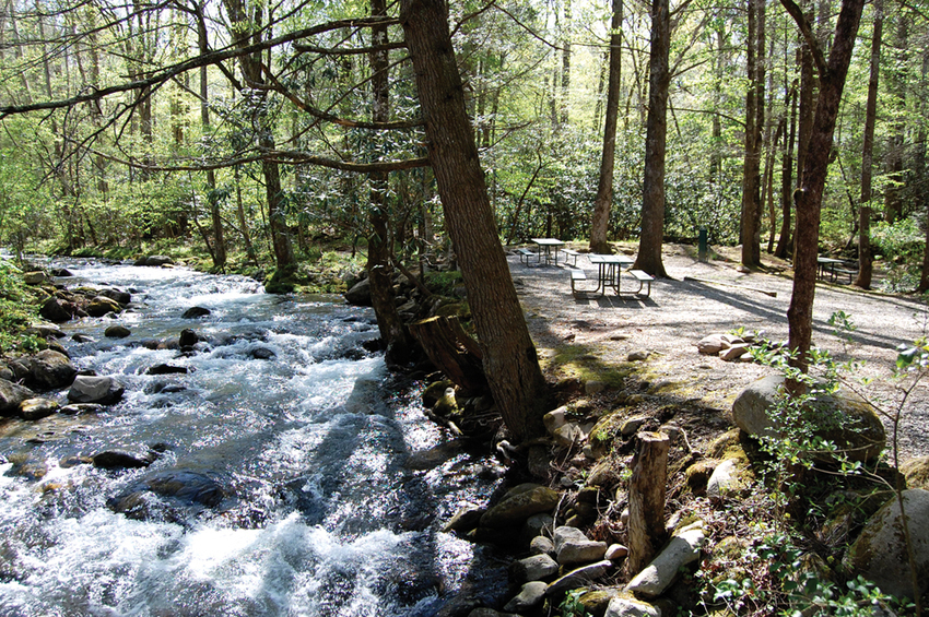 Great Smoky Jellystone Camp Resort Cosby Tn 1