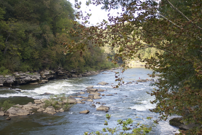 Horseshoe Bend Marina And Campground Walling Tn 1