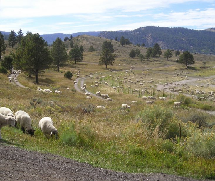 Panguitch Lake Adventure Resort Panguitch Ut 0