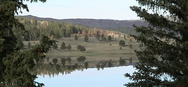 Bear Paw Fishing Resort   Panguitch Lake Panguitch Lake Ut 0