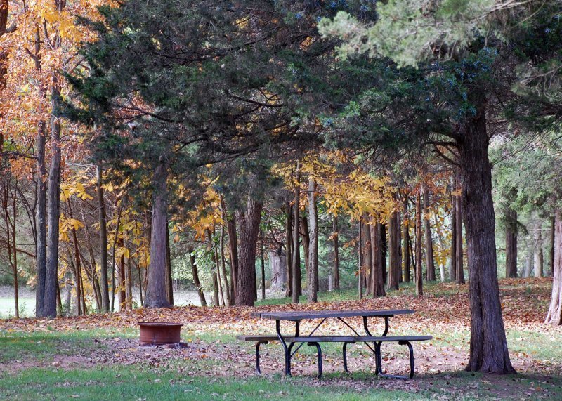 Cedar Lake Campground Dover Pa 0