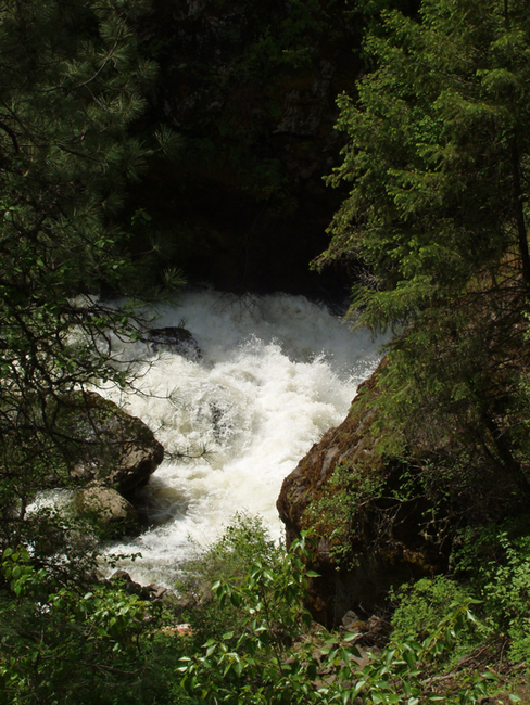 Clearwater Crossing Rv Park Orofino Id 3