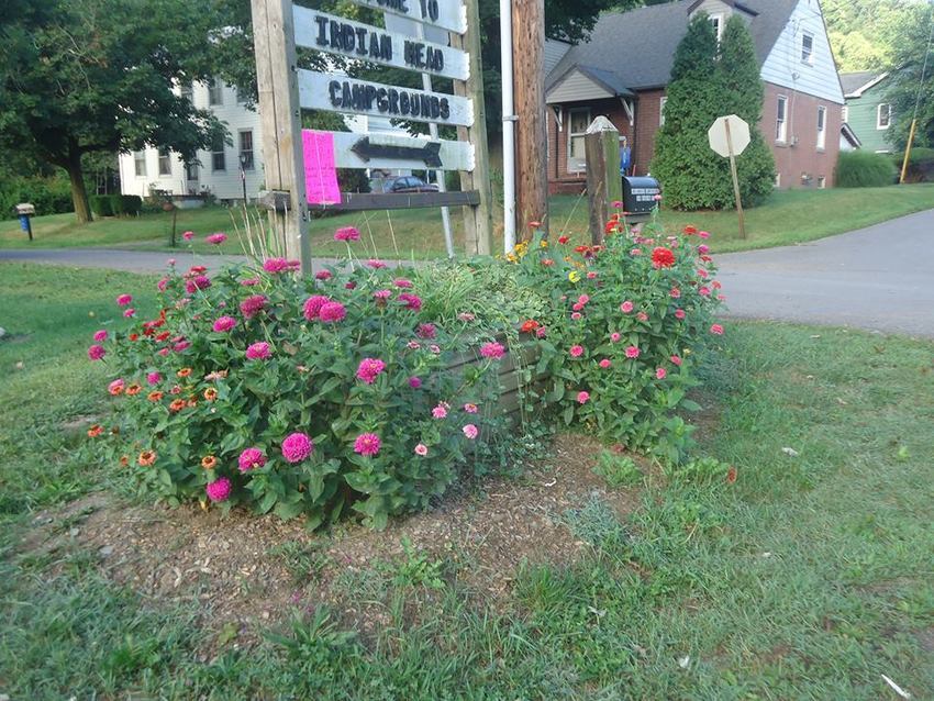 Indian Head Campground Bloomsburg Pa 0