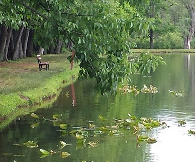 Knoebels Lake Glory Campground Catawissa Pa 1