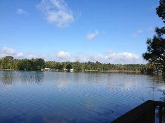 Yogi On The Lake Pelahatchie Ms 6