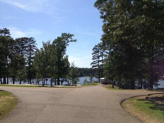 Yogi On The Lake Pelahatchie Ms 4