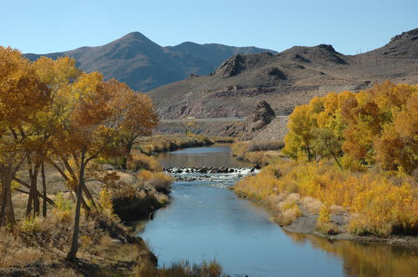 Desert Rose Rv Park Fernley Nv 2