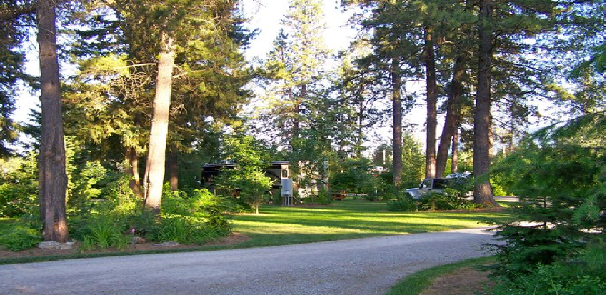 Trout Creek Motel And Rv Park Trout Creek Mt 0