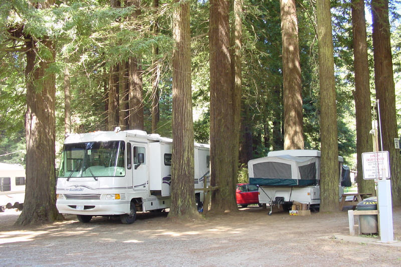 The Emerald Forest Of Trinidad Trinidad Ca 4