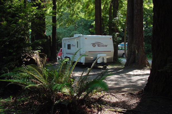 The Emerald Forest Of Trinidad Trinidad Ca 5