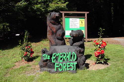 The Emerald Forest Of Trinidad Trinidad Ca 0